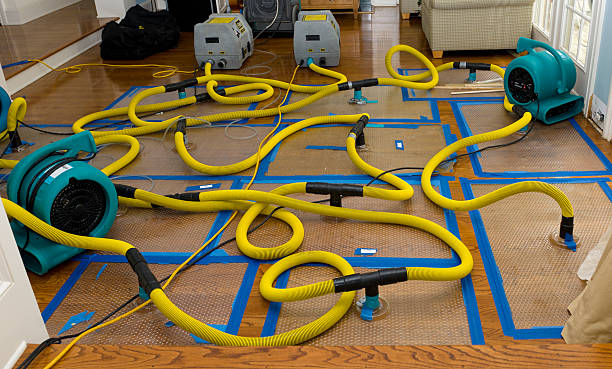 Professional Basement Flood Cleanup technician working in Mission, SD